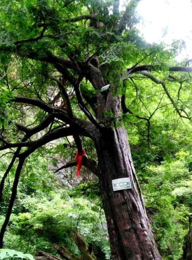 西安葛牌古镇，西安周边好玩的地方「西安休闲农业庄园[需手动填充]葛牌山庄依山傍水，有趣的地方了解一下」  第28张