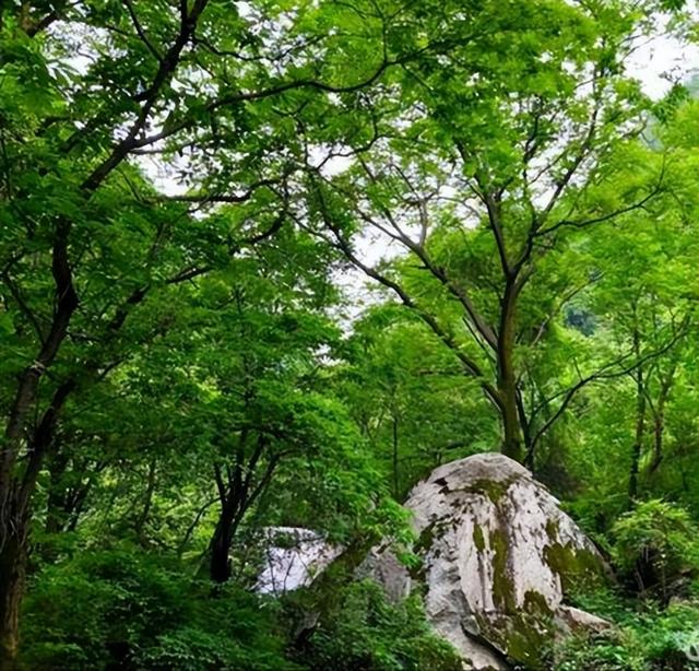 西安休闲度假的地方「西安度假村有哪些地方」  第29张