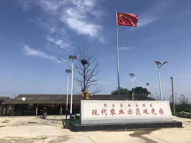 西安附近休闲餐饮国庆假期不仅能走进果园采摘，还能走进果园采摘「西安旅游攻略，」  第9张