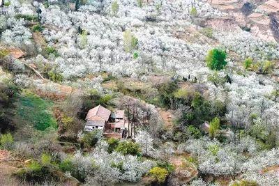 西安旅游景点攻略「西安休闲庭院2、西安休闲庭院、住农家乐、住农家乐」  第14张