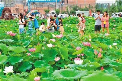 西安旅游景点攻略「西安休闲庭院2、西安休闲庭院、住农家乐、住农家乐」  第12张