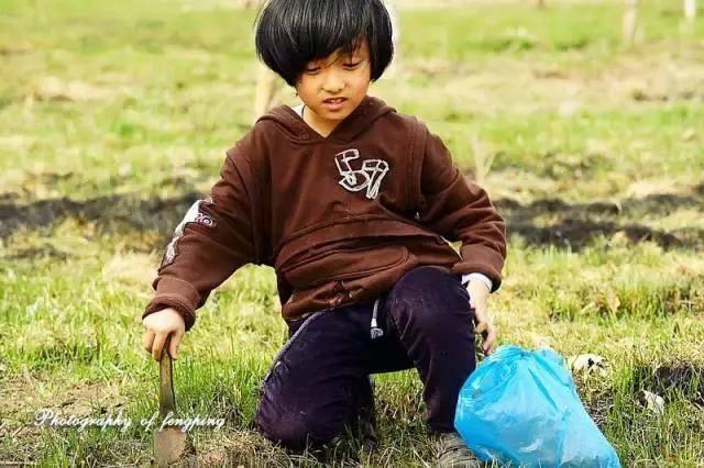 西安九大挖野菜的好地方，赶紧出发吧！「西安九大挖野菜地图，带上家人和你的小铲铲，赶紧出发吧」  第4张