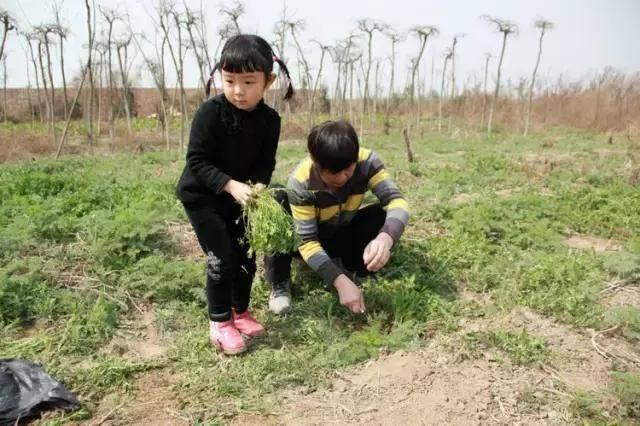 西安九大挖野菜的好地方，赶紧出发吧！「西安九大挖野菜地图，带上家人和你的小铲铲，赶紧出发吧」  第8张