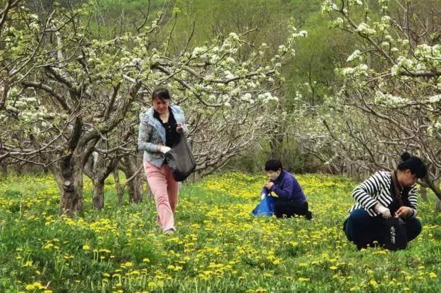 西安九大挖野菜的好地方，赶紧出发吧！「西安九大挖野菜地图，带上家人和你的小铲铲，赶紧出发吧」  第9张