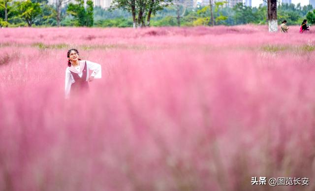 西安花海休闲园西安花恋海舞厅营业吗西安花海舞厅营业吗「西安花海休闲园2、西安花恋海舞厅营业吗西安花恋海舞厅营业吗」  第1张