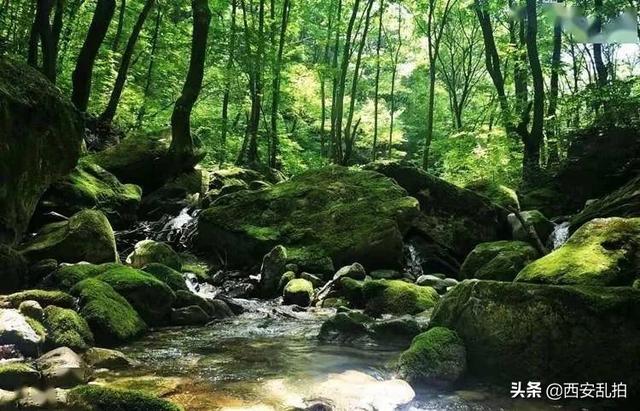 西安的休闲生活西安周边有处常年23du的夏天避暑好去处「西安周边有一处常年23du的夏天避暑好去处」  第1张