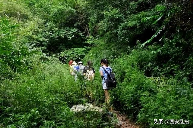 西安的休闲生活西安周边有处常年23du的夏天避暑好去处「西安周边有一处常年23du的夏天避暑好去处」  第4张