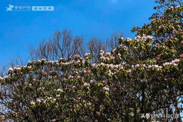 西安长安区休闲玩的地方「长安好玩的地方」  第5张