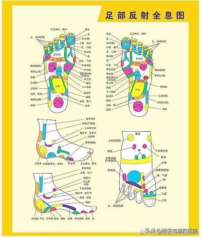 足部反射区反射区按摩疗法隶属于无损伤医学之精华的部位「人体发生疾患时」  第12张