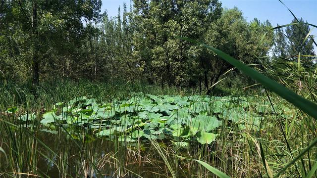 西安周边休闲去地方2、西安周边休闲去地方排行「西安休闲去地方2、西安周边休闲去地方2、西安周边休闲小镇排行」  第13张