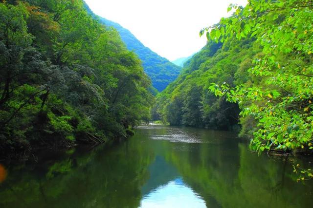 西安秦岭国家植物园游玩攻略「秦岭国家植物园游玩攻略」  第6张