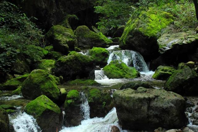 西安秦岭国家植物园游玩攻略「秦岭国家植物园游玩攻略」  第20张