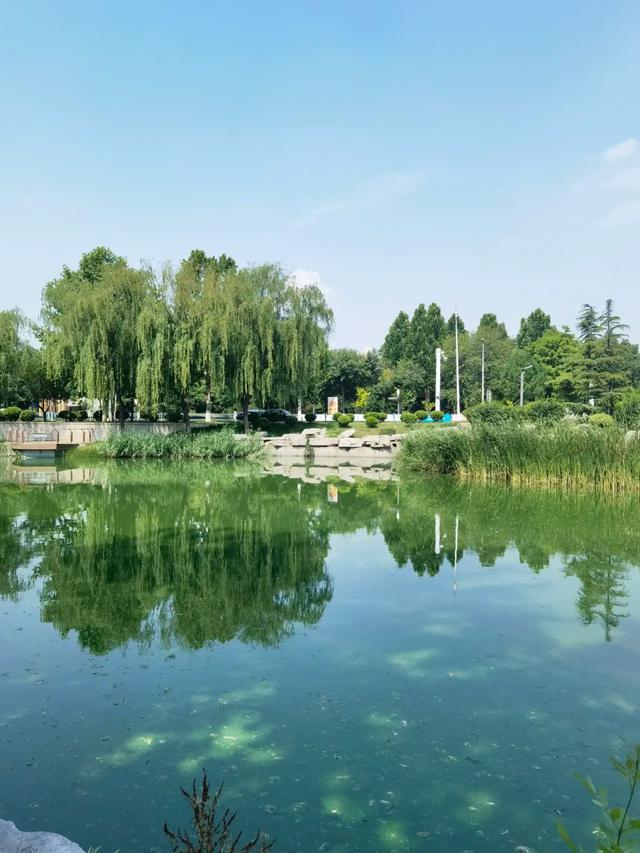 西安市有一处免费的赏荷花网红打卡点，环境好景色美，周末散心遛娃好地方，你去过吗？「西安周边600公里能玩的地方？」  第5张