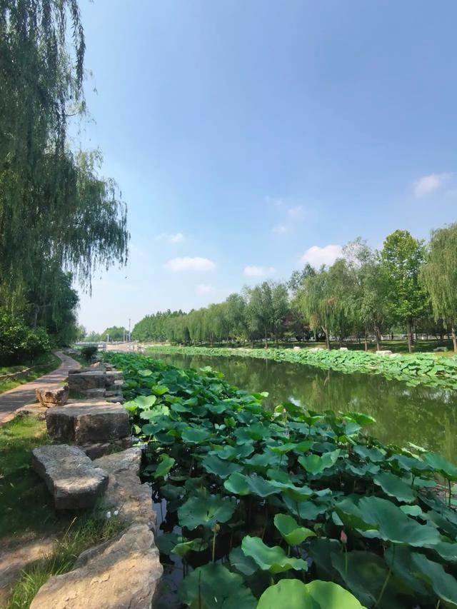 西安市有一处免费的赏荷花网红打卡点，环境好景色美，周末散心遛娃好地方，你去过吗？「西安周边600公里能玩的地方？」  第11张