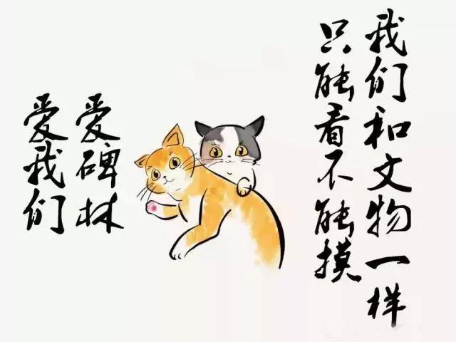 西安碑林博物馆的猫系首领，势力强大「西安碑林博物馆“飒露黄——噬元兽”」  第38张