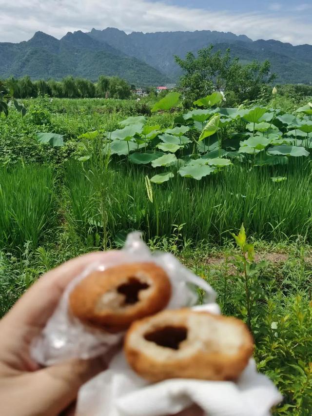 西安休闲水果园，西安那有水果批发市场？「西安休闲水果园2、西安那有水果批发市场地址一览」  第9张