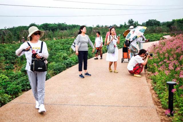 长沙人们常说的步行街是哪个地方啊？「在长沙人们常说的步行街是哪个地方啊？」  第17张