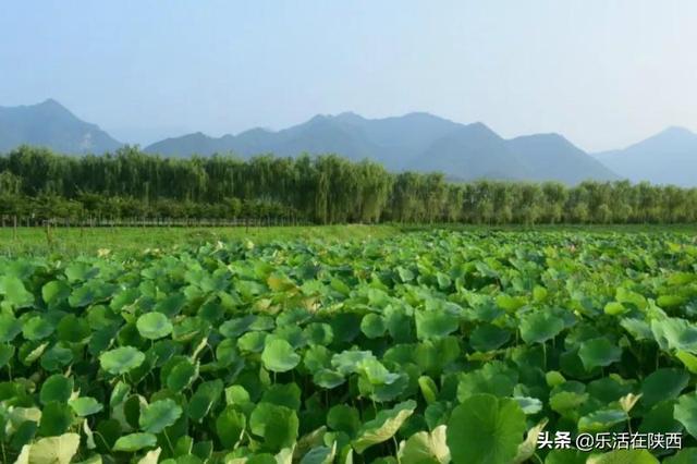 西安亲子洗浴休闲，熙地港有几层？「西安亲子洗浴休闲2、熙地港有几层亲子洗浴休闲神兽」  第8张