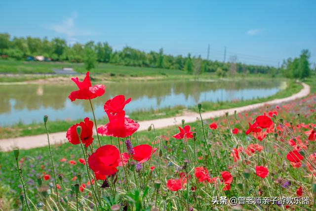 西安休闲野钓水库？西安休闲野钓水库[需手动填充]河生态公园露营「西安[需手动填充]河生态公园游玩攻略」  第7张