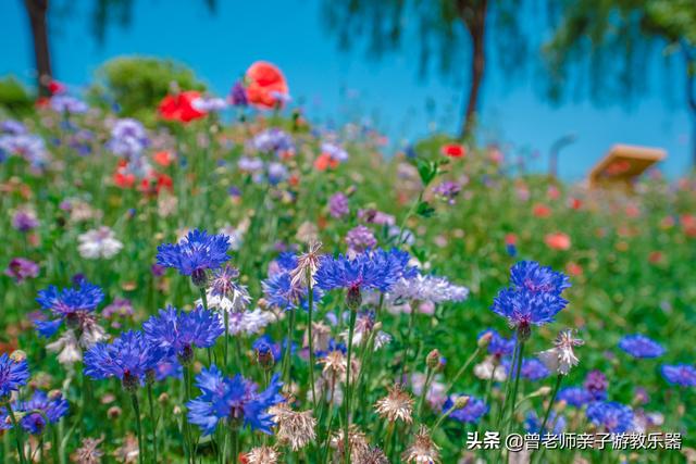 西安休闲野钓水库？西安休闲野钓水库[需手动填充]河生态公园露营「西安[需手动填充]河生态公园游玩攻略」  第6张