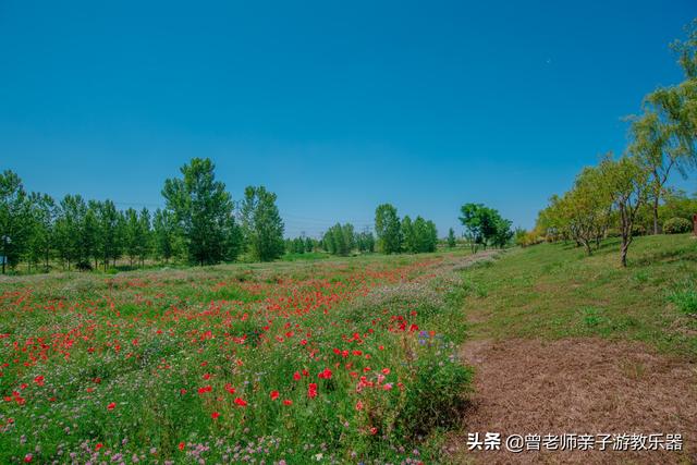 西安休闲野钓水库？西安休闲野钓水库[需手动填充]河生态公园露营「西安[需手动填充]河生态公园游玩攻略」  第17张