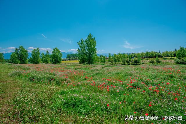 西安休闲野钓水库？西安休闲野钓水库[需手动填充]河生态公园露营「西安[需手动填充]河生态公园游玩攻略」  第18张