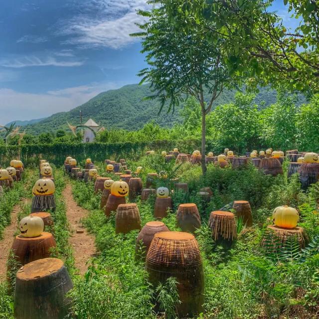 西安旅游攻略｜大水川景区「西安休闲射箭山庄图|大水川景区官微森林茂密」  第6张