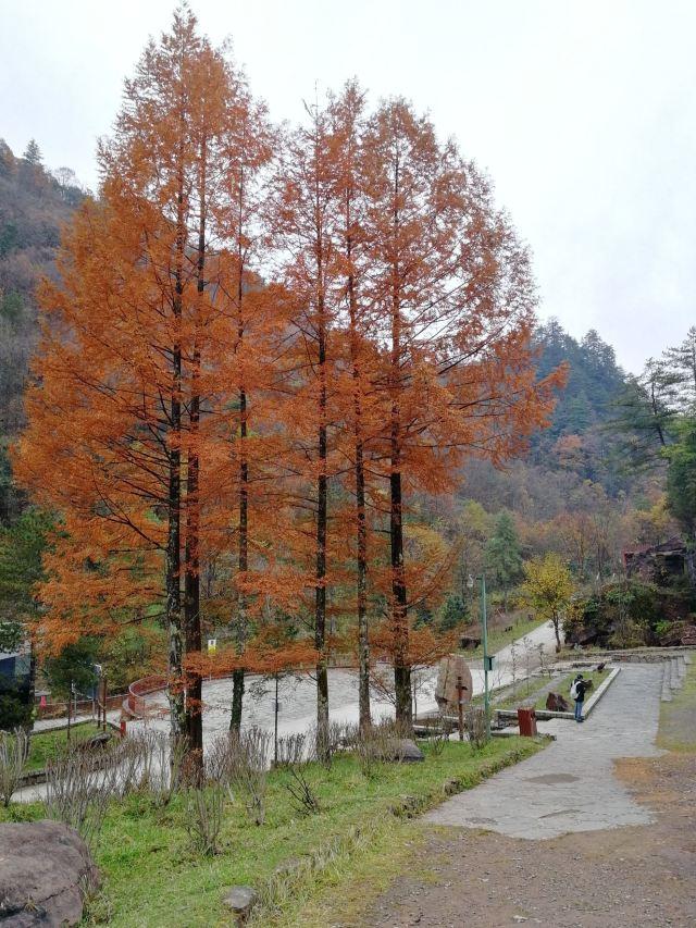 西安周边休闲玩乐西安周边休闲玩乐da家目录一览「西安周边休闲玩乐西安周边休闲玩乐」  第1张