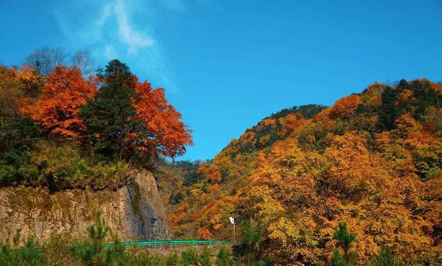 西安周边休闲玩乐西安周边休闲玩乐da家目录一览「西安周边休闲玩乐西安周边休闲玩乐」  第15张