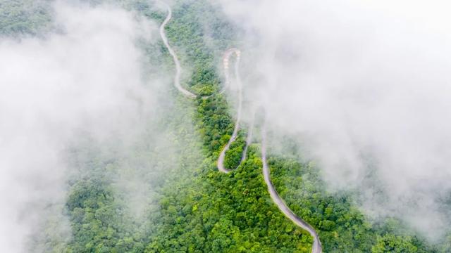 西安旅游攻略：春游商洛篇（一）「商洛旅游攻略」  第16张