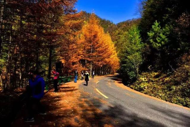 西安周边休闲景区西安周边休闲景区西安周边休闲景区「西安周边休闲景区」  第4张