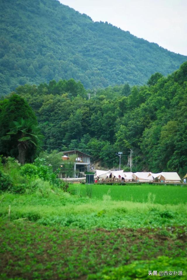 西安郊区休闲summerlife格兰篷帐篷营地「西安夏日荷花盛开季节在此感受大自然赋予大自然赋予的身心享受」  第4张