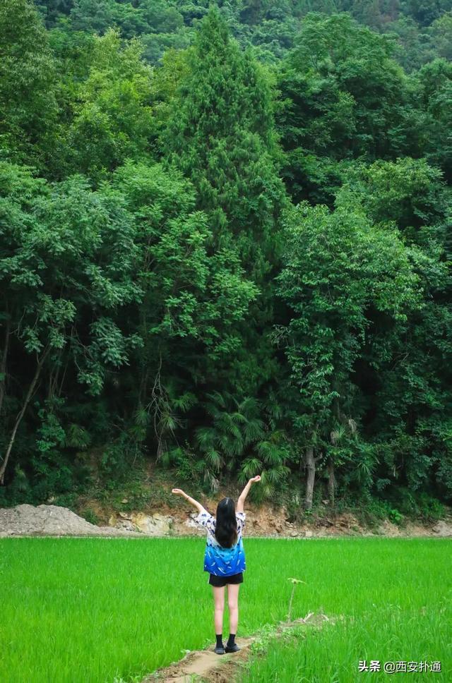 西安郊区休闲summerlife格兰篷帐篷营地「西安夏日荷花盛开季节在此感受大自然赋予大自然赋予的身心享受」  第6张