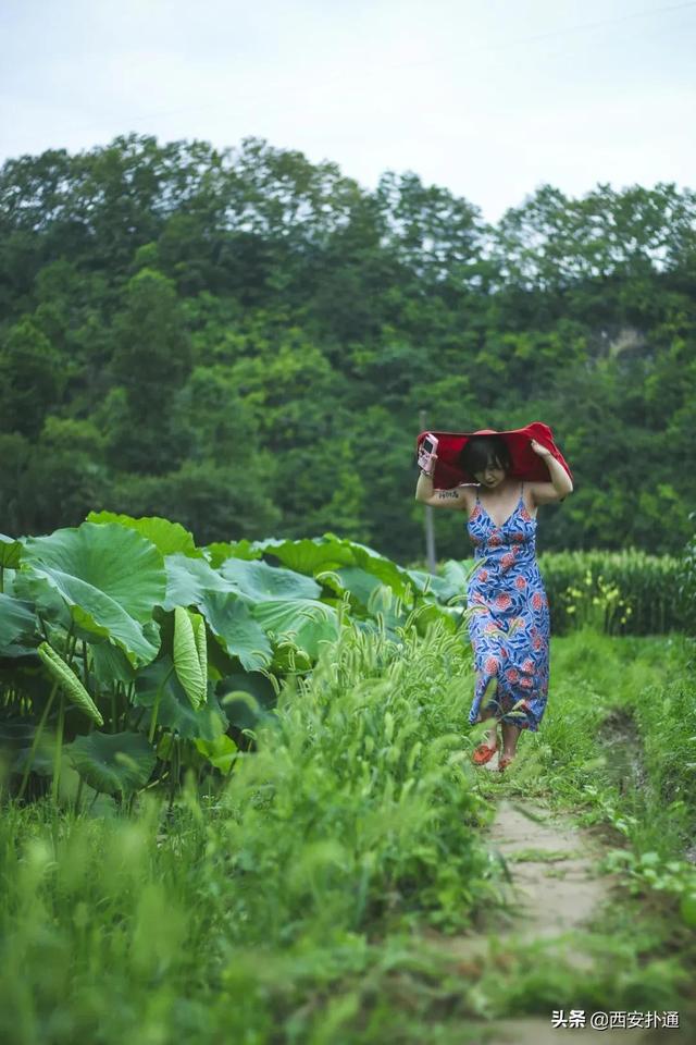 西安郊区休闲summerlife格兰篷帐篷营地「西安夏日荷花盛开季节在此感受大自然赋予大自然赋予的身心享受」  第21张