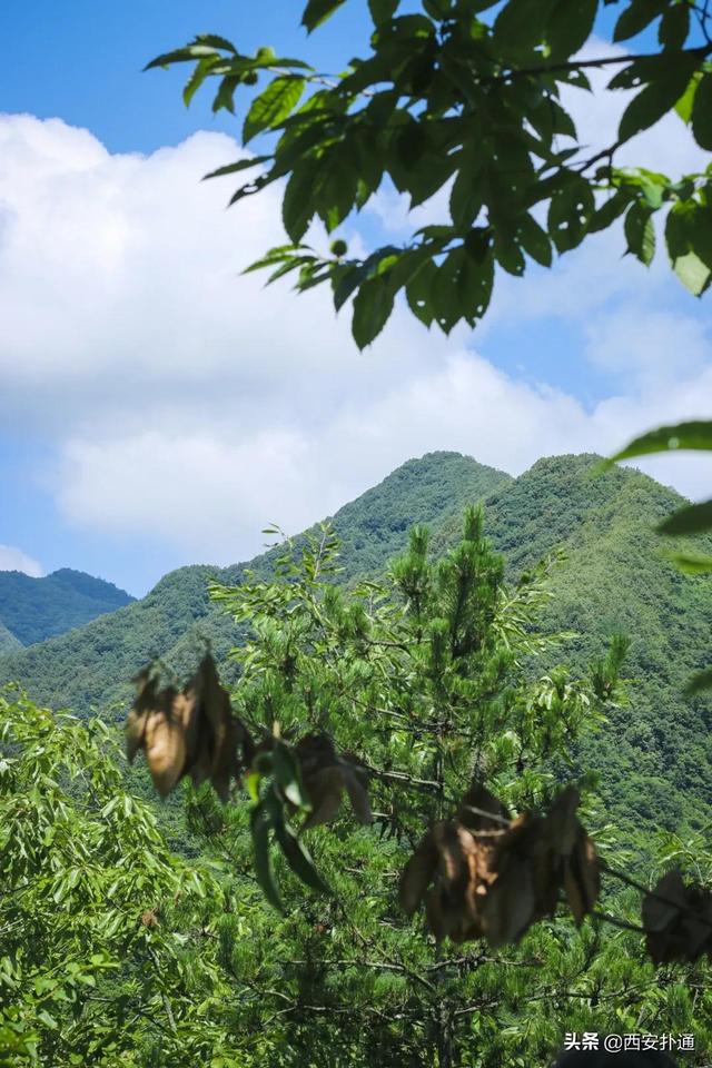 西安郊区休闲summerlife格兰篷帐篷营地「西安夏日荷花盛开季节在此感受大自然赋予大自然赋予的身心享受」  第30张