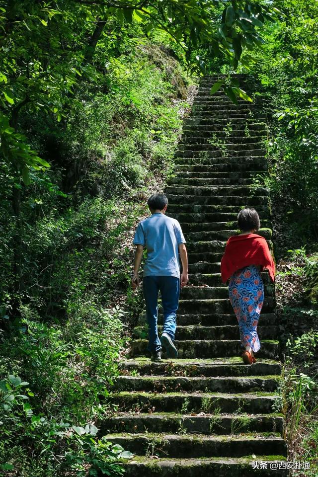 西安郊区休闲summerlife格兰篷帐篷营地「西安夏日荷花盛开季节在此感受大自然赋予大自然赋予的身心享受」  第29张