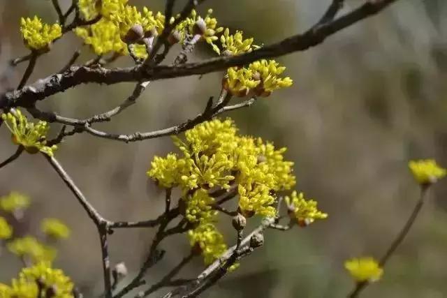 西安圣洁休闲阁怎么样「西安静阁」  第13张