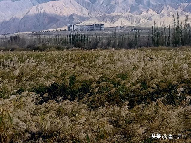 西安黄河源休闲治黄工程瞭望台纪念碑亭治黄工程纪念碑亭「西安黄河源休闲」  第7张