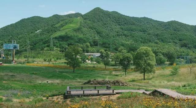 陕西旅游生态环境建设「生态环境建设：秦岭四宝科学公园」  第25张