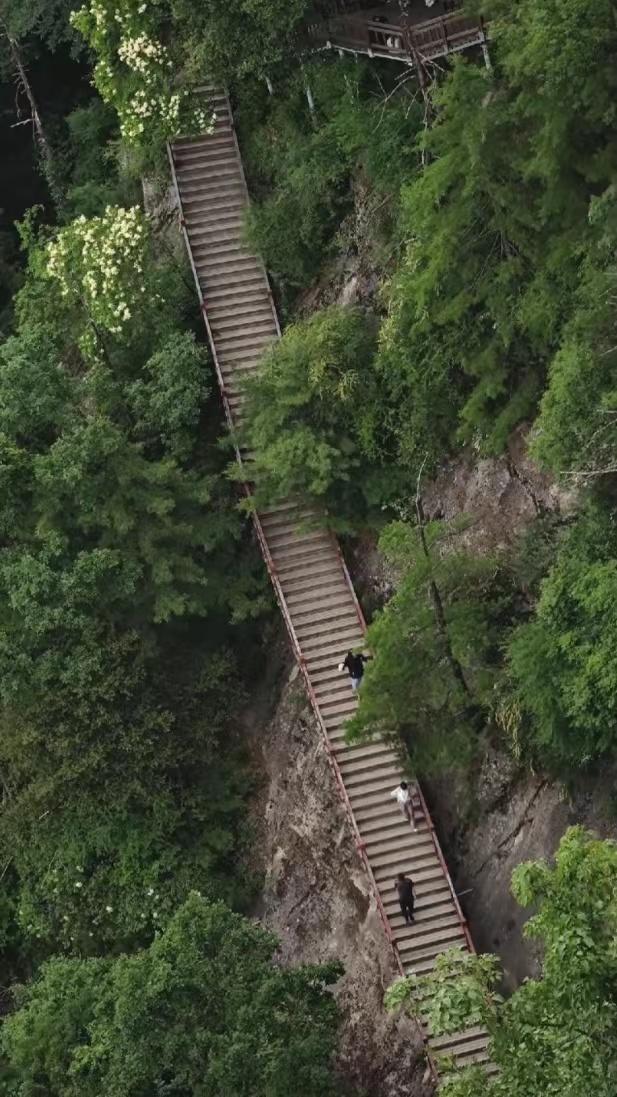 陕西旅游生态环境建设「生态环境建设：秦岭四宝科学公园」  第26张