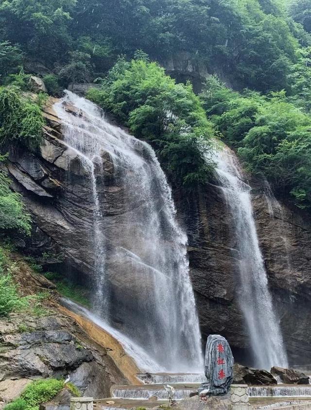 陕西旅游生态环境建设「生态环境建设：秦岭四宝科学公园」  第31张