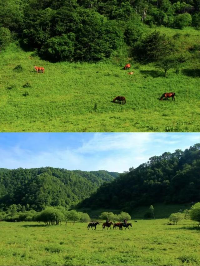 陕西旅游生态环境建设「生态环境建设：秦岭四宝科学公园」  第35张