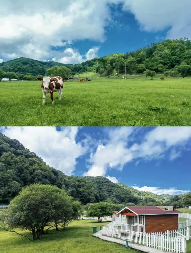 陕西旅游生态环境建设「生态环境建设：秦岭四宝科学公园」  第37张