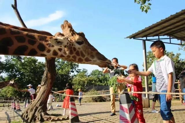 西安国家森林公园5月19日活动一览表「5月19日“中国旅游日”\u005cu200b景区活动优惠活动」  第16张