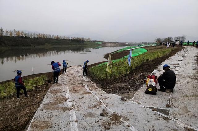 西安沣河梁家滩运动公园三期整体生tai系统策略沣河梁家滩运动公园「沣河梁家滩运动公园」  第44张