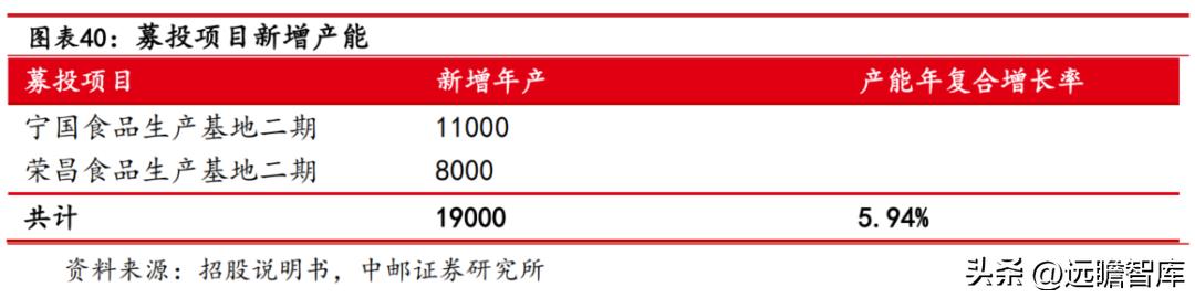 紫燕百味鸡：紫燕夫妻肺片领衔各类鲜货产品「休闲食品西安加盟2、90%好想来自于鲜货产品店」  第31张