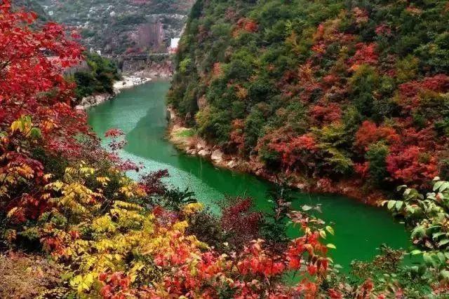 西安西郊周末休闲春回大地赏花好时光…贴心蔷薇花…「2018西安赏花攻略」  第32张