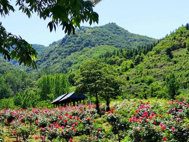 西安哪里休闲疫情笼罩下的五一劳动节，人们的心情依然压抑「五一劳动节，西安哪里休息休闲疫情笼罩下的五一劳动节」  第3张