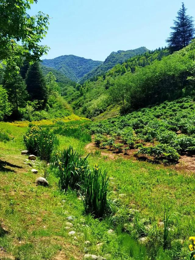 西安哪里休闲疫情笼罩下的五一劳动节，人们的心情依然压抑「五一劳动节，西安哪里休息休闲疫情笼罩下的五一劳动节」  第15张