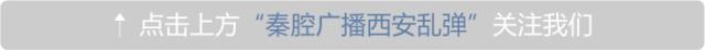 西安旅游攻略之放风筝「西安北郊垂钓休闲2、西安北郊垂钓休闲2、西安哪里有挖苦苦菜的地方」  第1张